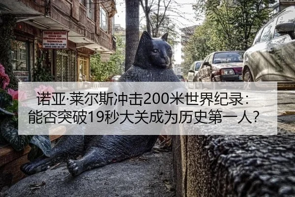 nuo-ya-lai-er-si-chong-ji-mi-shi-jie-ji-lu-neng-fou-tu-po-miao-da-guan-cheng-wei-li-shi-di-yi-ren-2-906.jpg